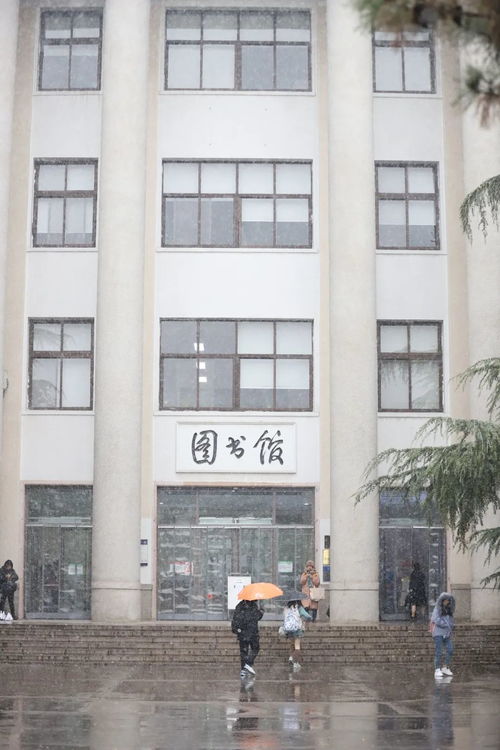 北科初雪有多美，看这里！